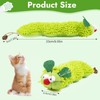 Binlava Cat Toy, Catnip Toy, Cat Cushion, Interactive Cat Toy,