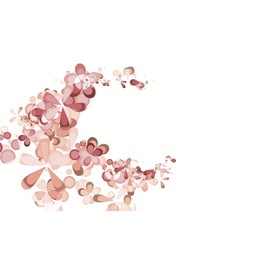 Aussie Pure Blushwood Berry Beauty 3-in-1 Botanical Facial Serum