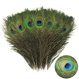 YFHUVB 15Pcs Peacock Feathers, Natural Large Feathers Peacock Feathers Long, Peacock Tail Feather for Wedding, Vase, Christmas Party Decoration, Peacock Costume, DIY Art & Craft