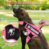 Dog Vest Harness and Leash Set, Animire Reflective Service Dog