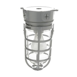 Woods L1706 Vandal Resistant Security Light With Ceiling Mount (150W Incandescent Bulb; Silver)