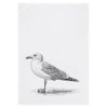 Tea Towel White 100% Cotton with Morel Motif Dark Grey