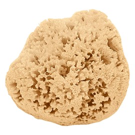 Natural Loofah Atlantika