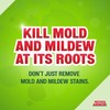 Mold Armor Professional Brand Mold Kill & Control Spray, 32