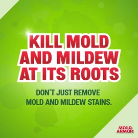 MOLD ARMOR Professional Brand Mold Kill & Control Spray, 32 oz., Hard Surface Mold and Mildew Remover, Visible Results in Minutes, Eliminates Bacteria and Viruses