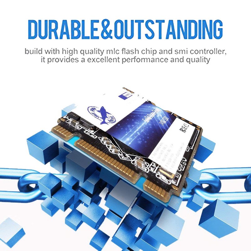 Dogfish SSD M.2 2242 250GB Solid State Drive Ngff Internal