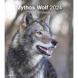 Mythos Wolf 2024 Photo Calendar Wall Calendar 30 x 34: Wild Wolves