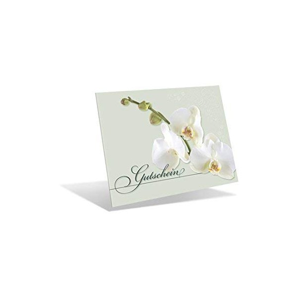 Premium vouchers as folding cards (pack of 10) with rear