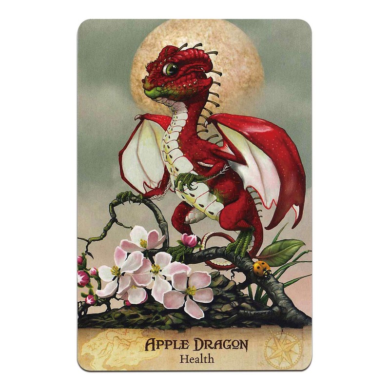 Oracle Card Divination Field Guide To The Garden Dragons