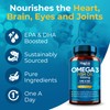 Omega 3 1000mg Capsules - 365 Fish Oil Tablets with