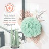 Spongentle Premium Deep Cleansing Loofah Sponge for Radiant Skin, Pack