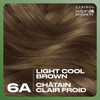 Clairol Natural Instincts Demi-Permanent Hair Dye, 6A Light Cool Brown