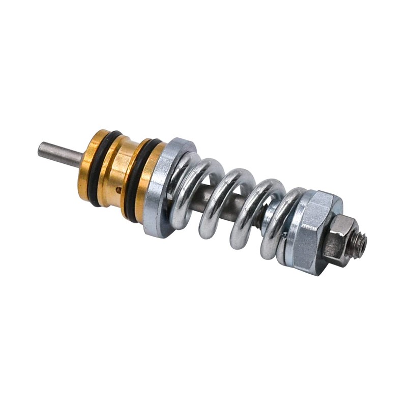 Rebuiman 310924003 Unloader Valve kit Fit for Coleman Features, for