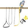 Lopsity Parrot Harness Adjustable Bird Harness Flying Rope Strap Outdoor