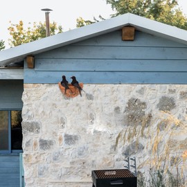 Cabilock 3 Pieces Swallow Nest with Bird Figurine Wall Decoration Garden Figures Decorative Tree Stake Garden Decoration Figures Garden Statue Sculptures Living Room Yard Balcony Patio Decoration