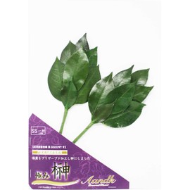 Sakaki Kaumi SS [Artificial Flowers] Preserved Sakaki (Made with Premium Camellia Leaves from Tanba) < Utility Model Registration No. 3222297> Handmade, Handmade, Non-Withering, Sakaki, One Pair, No Watering, Shinto Shelf, Shinto Treasure, Gajo, New Year