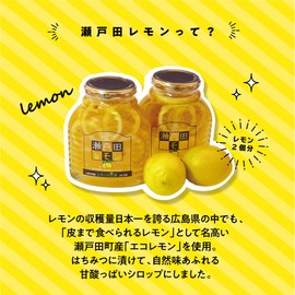 Setoda Lemon (Set of 5)