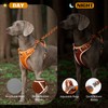 ARING PET No Pull Dog Harness-Soft Breathable Orange Dog Harness