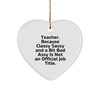 Funny Teacher Gifts from Men, Unique Heart Ornament for Teacher,