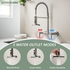 LUOGULIANG Wall Mount Kitchen Faucet with Sprayer, 8 Inch Center