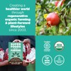 Navitas Organics - Polvo de Granada Orgánico, 227 g