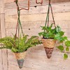 Wildlife World Artisan Hanging Plant Basket - Small Conical -