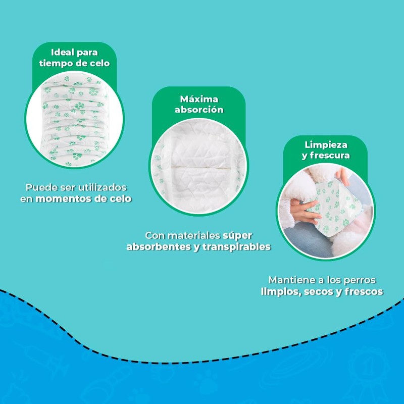 Fancy Pets Pañal para Perro Macho Tamaño Mediano con 12