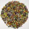 Smarty Stop Licorice Pastel Candy (1 Pound (Pack of 1))