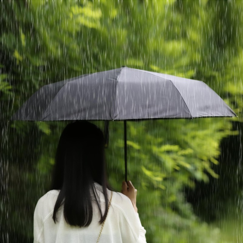 TECPEX Folding Umbrella Portable Windproof Automatic Compact Umbrella Strong Frame