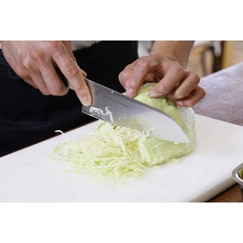 EBM E-PRO モリブデン 三徳型 16.5cm グリーン