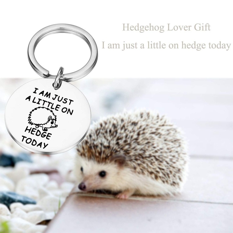 Lywjyb Birdgot Hedgehog Gift Hedgehog Lover Gift Animal Lover Gift