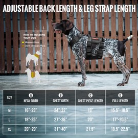 OneTigris Breathable Dog Lift Harness for Large Medium Sized Dogs, Dog Sing for Large Dogs Hind Leg Support, Dog Hip Support Brace Front Leg Vrace