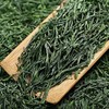 Xinyang Maojian Tea High Mountain Green Tea 8.81 Ounce /250g