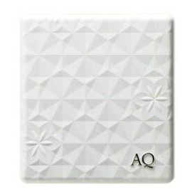 Cosmetics Decorte AQ Cushion Foundation Case