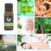 Cypress Essential 100% Pure Aromatherapy Oil 10ml