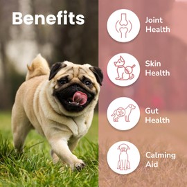Aralis Animals Pug Multivitamins Hip and Joint Supplements for Dog, Glucosamine for Dogs, Probiotic and Prebiotic Supplements for Dog, Health Supplies for Dogs(150g - 30 Scoops)