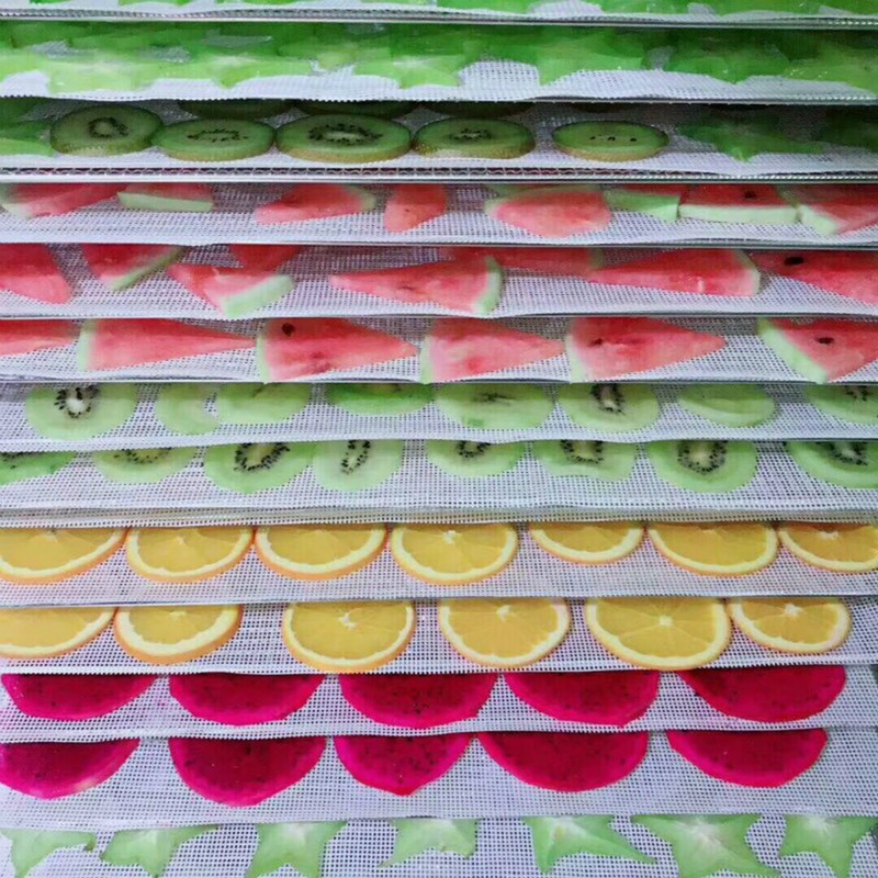 Kitchen Non Stick Silicone Dehydrator Sheets for Fruit Reusable Food