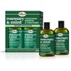 Difeel Champú fortalecedor del cabello de romero y menta, 12