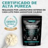 Creatina Monohidratada Micronizada Polvo Pre Workout 100 Alta Pureza Certificada