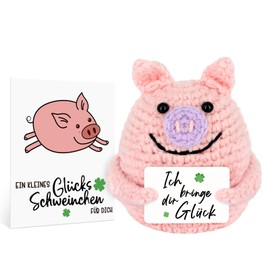 WenmthG Pocket Hug Positive Pig, Knitted Tiny Pig Doll, Positive Gifts for Family, Friends or Colleagues (Pack of 1)
