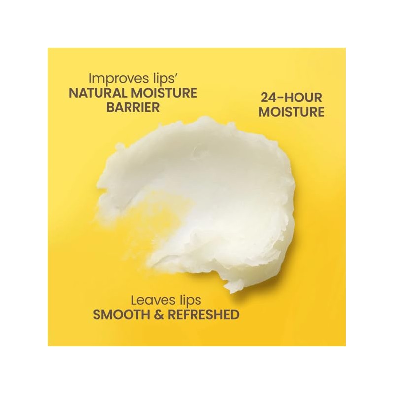 Burt's Bees Moisturizing Lip Balm Value Pack, Honey & Strawberry