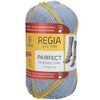 Regia Pairfect Sock Yarn (Stripeway Color 2297 - Jeans-Sky-Brick)