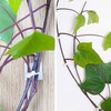 10Pcs White Plant Climbing Wall Self-Adhesive Fixed Clip Climbing Vine