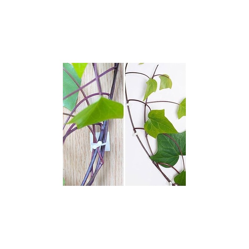 10Pcs White Plant Climbing Wall Self-Adhesive Fixed Clip Climbing Vine