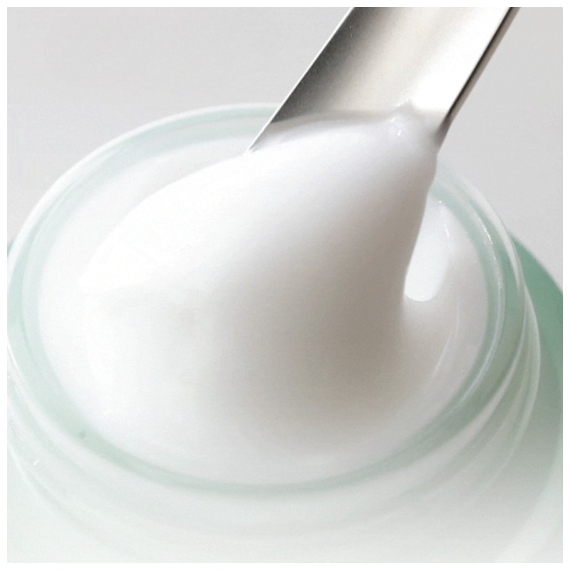 HANYUL Pure Artemisia Watery Calming Cream 55ml