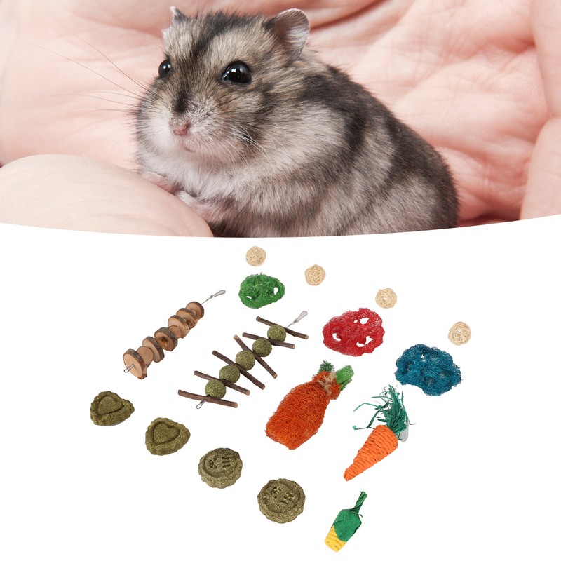 Rabbit Hanging Chew Toys Wood Grass Ball String Loofah Carrot