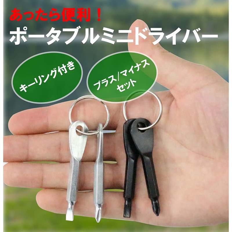 HappyHome Screwdriver Keychains, Phillips and Negative 2-Pack Portable Keychain with