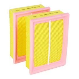 Valeo 585087 Air Filter