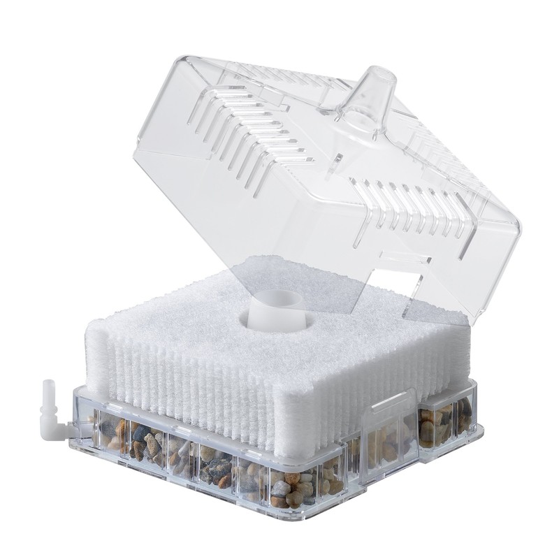 Gex Roca Boy L Flat Power