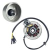 6 Coil 5 Wire Stator Magneto with Flywheel Rotor Kit